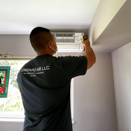 image of standard air technician inside home